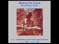 HOUND DOG TAYLOR  "Walking The Ceiling"  1971