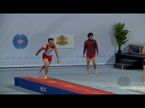STEFFENSEN Rasmus (DEN) - 2017 Trampoline Worlds, Sofia (BUL) - Qualification Tumbling Routine 2