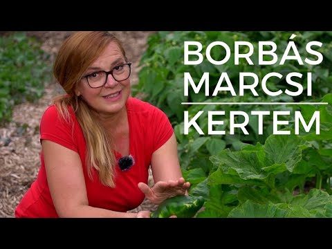 , title : 'Borbás Marcsi: Kertem - Így lesz bőséges a tökfélék termése (70. rész)'