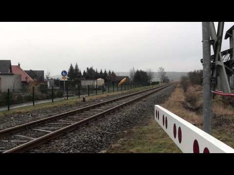 Haller Willem im Teutoburger Wald