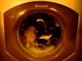 24 11 09 Hotpoint Wash 1