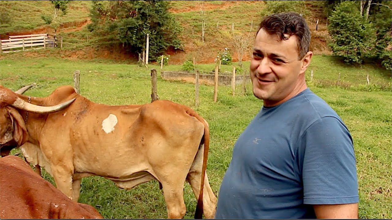 MAIS UM QUE TROCOU A CIDADE PELA ROÇA - MONTEIRO LOBATO SP