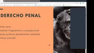 La legislación animal en Argentina, una discusión que nos debemos