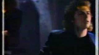 Mutual Surrender (What a Wonderful World) Music Video
