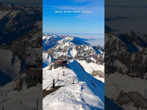 Where Winter meets Sunshine #travel #mountains #schilthorn #lauterbrunnen #trending #shorts