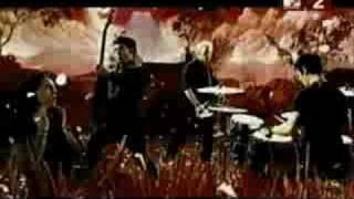 AFI- Rabbits Are Roadkill On Rt. 37