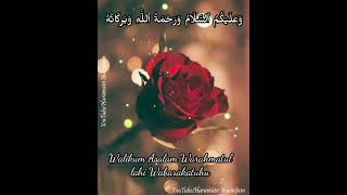 Download lagu Walikum Asalam Warahmatul lahi Wabarakatuhu, Salam Gif mp3 Download lagu Walikum Asalam Warahmatul lahi Wabarakatuhu, Salam Gif mp3