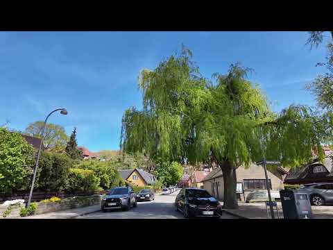 Come Walk With Me: 🇩🇰 Gentofte Sø & Bonus: Korsør ⛱️ - Denmark | 4K 60 FPS |