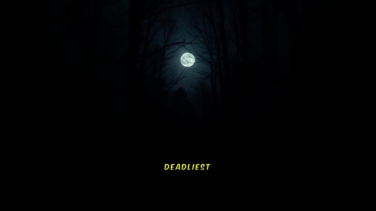 NATURE'S TOP 5 DEADLIEST ASSASSINS | You Won't Believe #1!