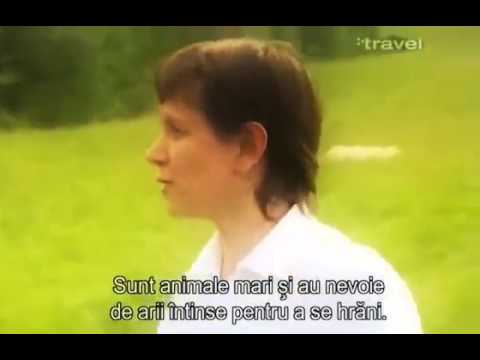 Mangalia Cazare - Cazat.ro