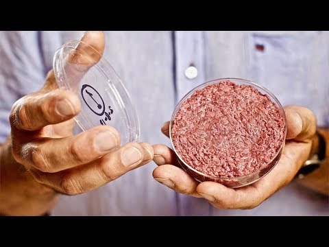 download lagu mp3 mp4 Memphis Meat Stock, download lagu Memphis Meat Stock gratis, unduh video klip Memphis Meat Stock