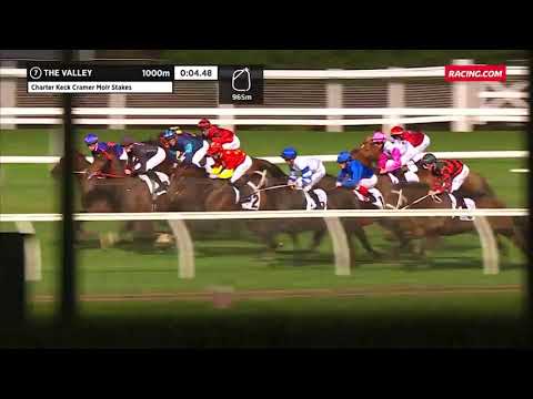 2021 Moir Stakes - Wild Ruler