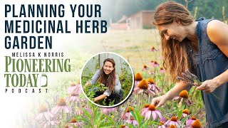 Don't Wait! Stock your Medicinal Herb Cabinet Now | EP: 417