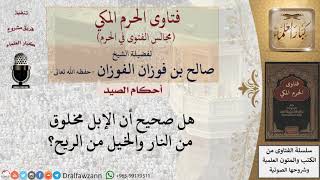 صورة ما صحة قول أن الإبل مخلوقة من النار والحصان من الريح؟ للشيخ صالح الفوزان