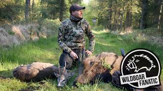 Bockjagd im hohen Norden | 1. Mai Morgen (Hunt On Demand Free Episode)