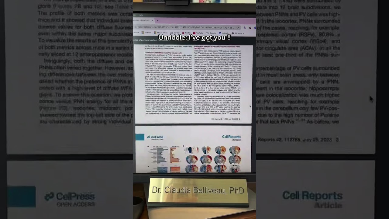 how to make a journal club presentation 👇 . here’s what your presentation slide deck should