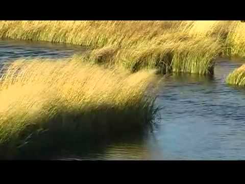 Altai-Kai - Jерим (Моя земля)