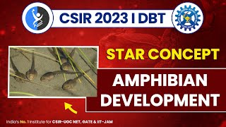 Download Lagu AMPHIBIAN DEVELOPMENT I CSIR2023 I DBT I STAR CONCEPT I Thumbnail