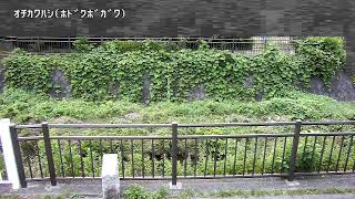 落川橋映像監視局
