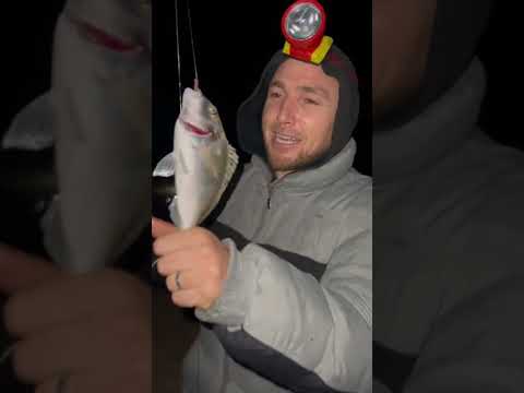 Catching a big fish in Salloum beach Hammamet Tunisia