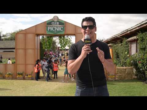 MATEO KINGMAN GUANACO