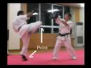 Kenpo Kai - Otoshi Mawashi Geri