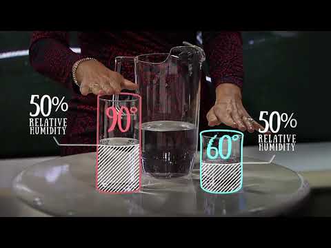 Weather 101: Humidity VS Dewpoint