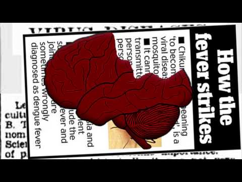 Animation-World War Z