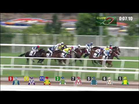 錶之未來21/10/17……(099)第六塲二級1200米