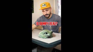 Download lagu Let s talk Dumpy Who is she Is the giant frog REAL... mp3