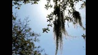 Brett Fuentes - The Wrong Man (acoustic)