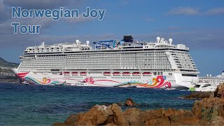 Norwegian Joy Tour