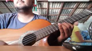 Gatos vs panteras REGULÓ CARO bajosexto cover