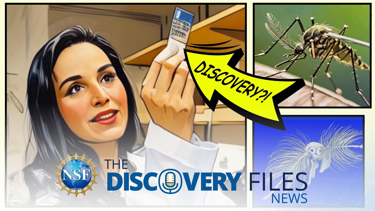 New Bio-Inspired Materials Design #news #science #bio #material #mosquito