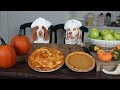 Chef Dogs Make Pies: Funny Dogs Maymo & Potpie