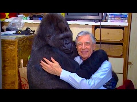 KoKo the Gorilla Meets Fred Rogers