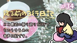 寝る前の3行日記　youtubeで34回目(๑•᎑•๑)