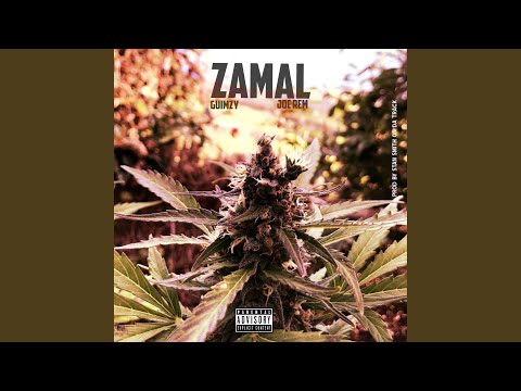 Zamal (feat. Joe Rem & Stansmithondatrack)