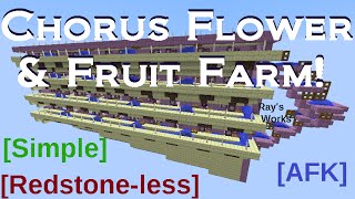 Simple AFK Chorus Flower & Fruit Farm! [Redstone-less]  | Minecraft