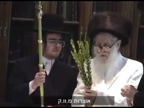 Satmar Rebbe The "Beirach Moshe" Preparing Dalet Minim