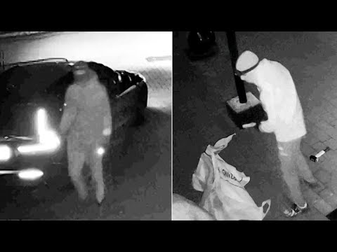 Hydraulische spreider sloopt deur Kamera Express Almelo: voor 150.000 euro gestolen | Plaats Delict