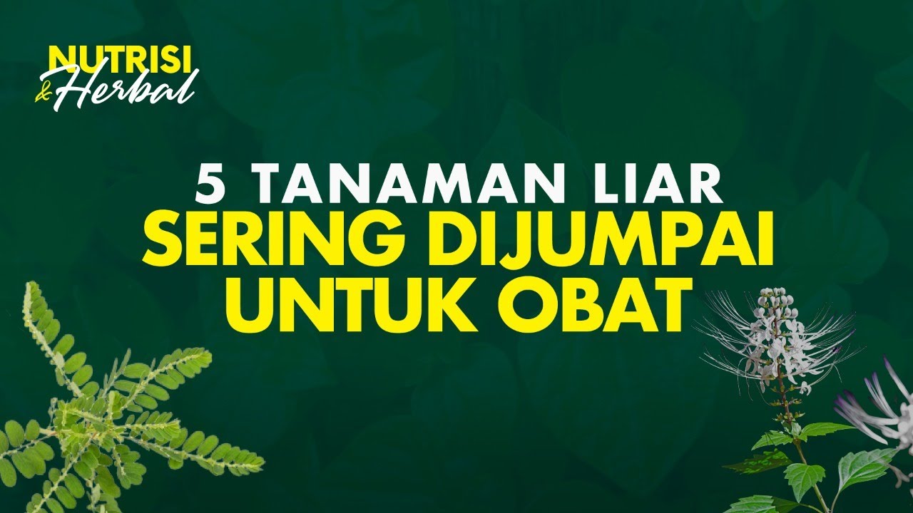 5 Tanaman Liar dan Pemanfaatannya Untuk Berbagai Penyakit  | Nutrisi & Herbal #39