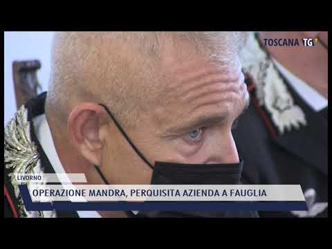 2021-09-28 LIVORNO - OPERAZIONE MANDRA, PERQUISITA AZIENDA A FAUGLIA