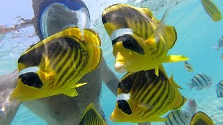 Пляж Фарша часть-2/ Шарм Эль Шейх 2018