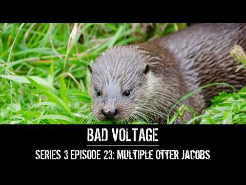 Bad Voltage 3x23: Multiple Otter Jacobs