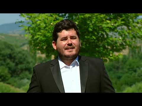 DALIBOR GJOSIK - Zivote moj