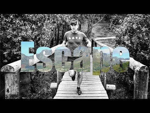 0 single-track - Grape Vine SA