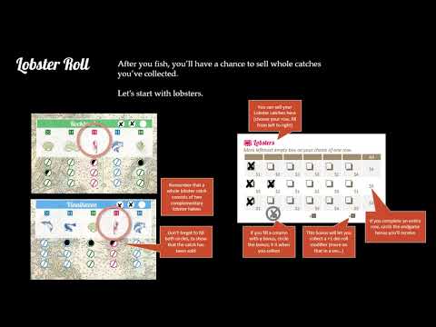 Lobster Roll - designer's overview