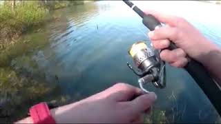 Miniature de la vidéo