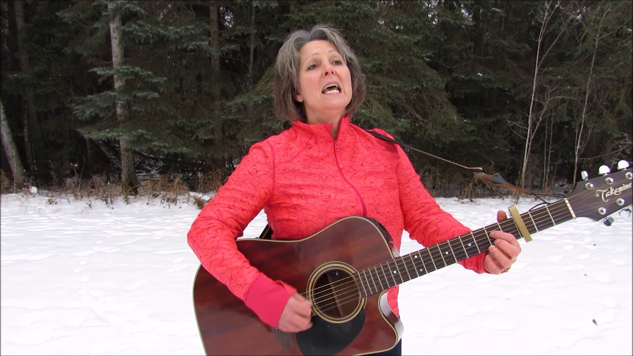 Promotional video thumbnail 3 for Cyndi Aarrestad singer/songwriter